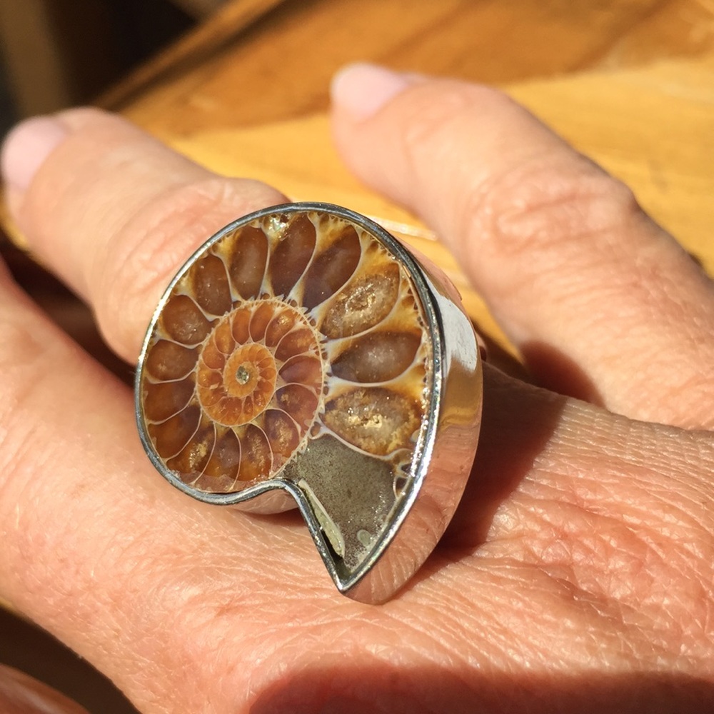 Shell ring